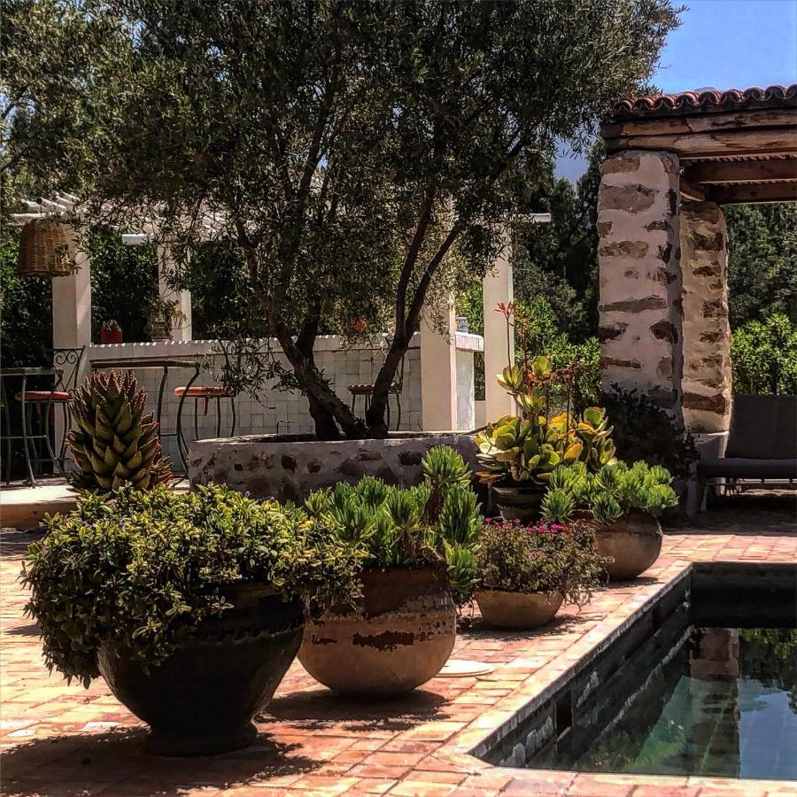Sel D Ailleurs, Atlas Mountain Retreat - Adults Only Ouirgane Exterior foto